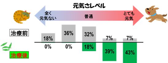 幹細胞療法の前後での動物の元気・苦痛