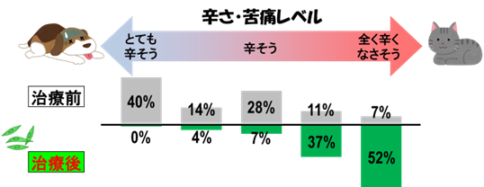 幹細胞療法の前後での動物の元気・苦痛